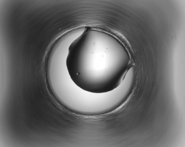 X0000087641114200705311321