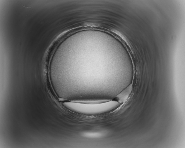 X0000087641115200705311321