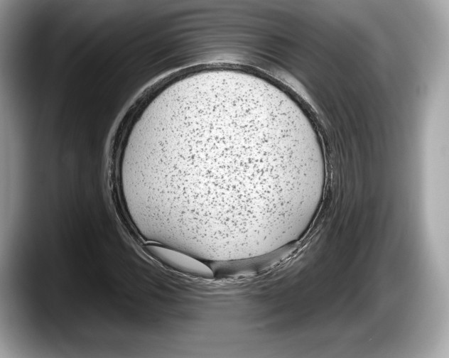 X0000087641116200705311321