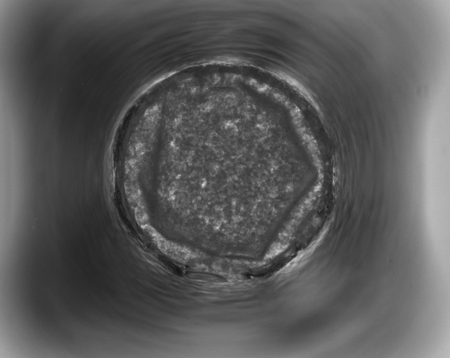 X0000087641117200705311321