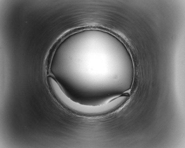 X0000087641118200705311321