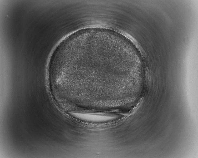 X0000087641120200705311321