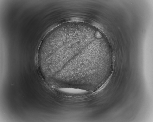 X0000087641121200705311321