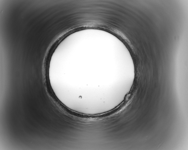 X0000087641122200705311321