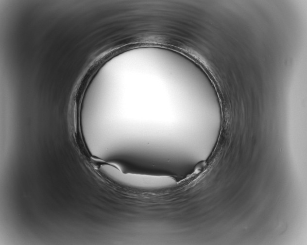 X0000087641123200705311321