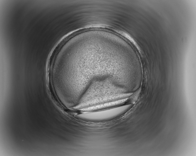 X0000087641124200705311321