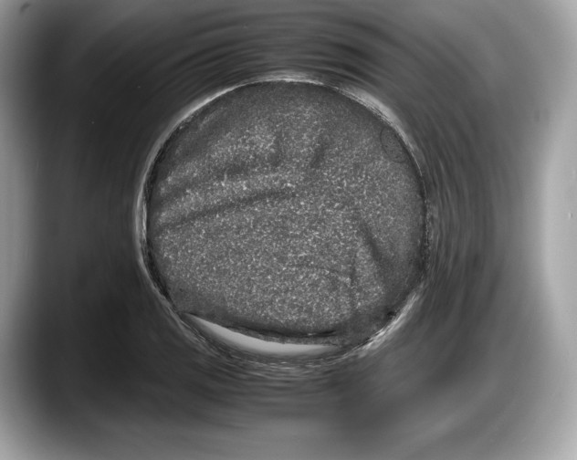 X0000087641125200705311321