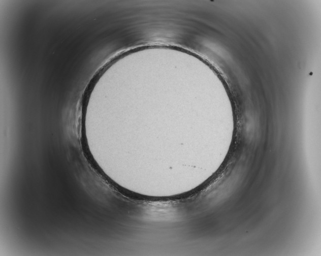 X0000087641126200705311321