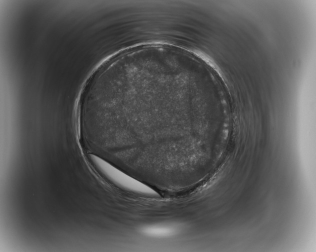 X0000087641127200705311321