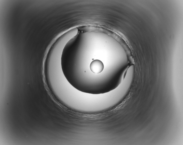 X0000087641128200705311321