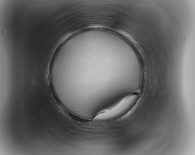 X0000087641129200705311321