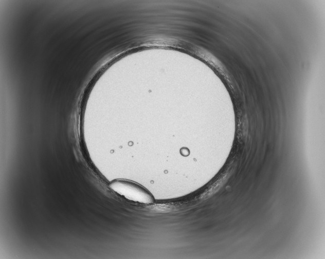 X0000087641130200705311321