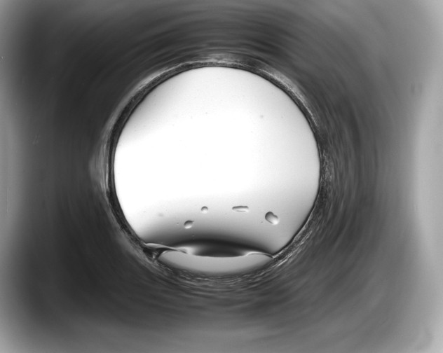 X0000087641131200705311321