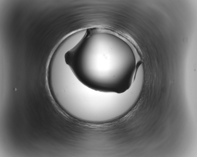 X0000087641132200705311321