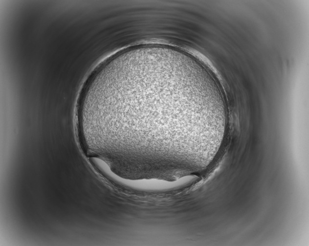 X0000087641133200705311321