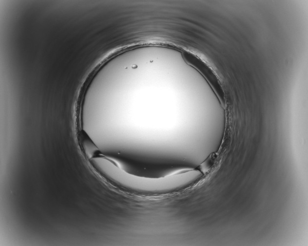 X0000087641134200705311321