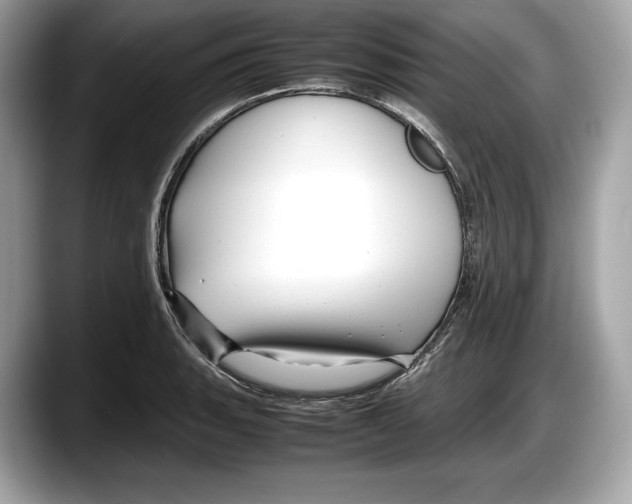 X0000087641135200705311321