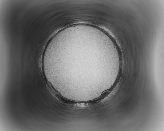 X0000087641137200705311321