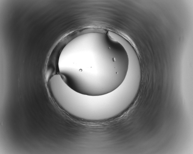 X0000087641138200705311321