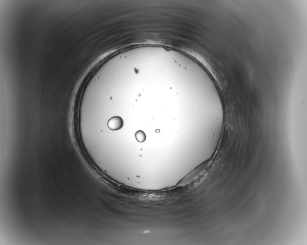 X0000087641139200705311321