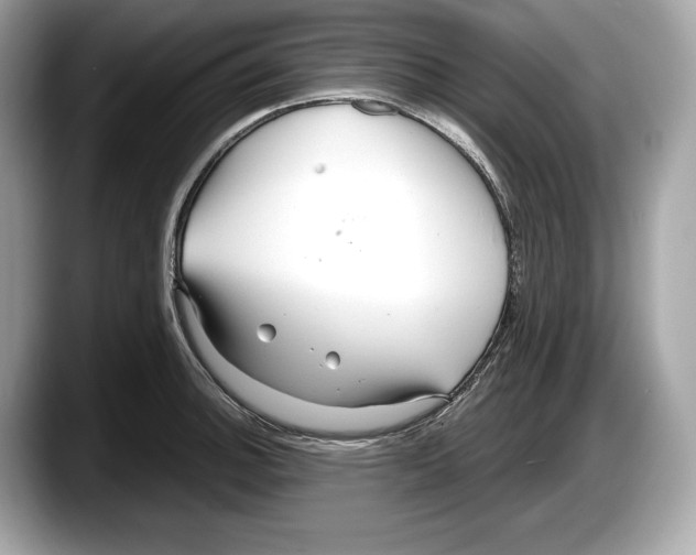 X0000087641140200705311321