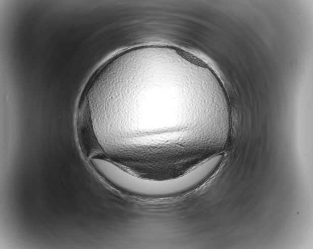 X0000087641142200705311321