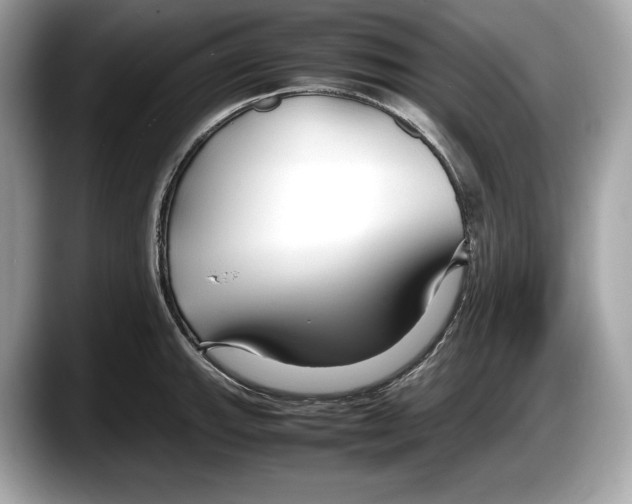 X0000087641143200705311322