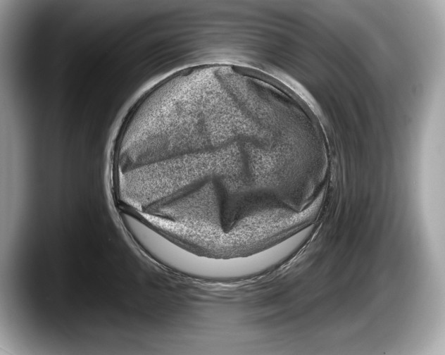 X0000087641144200705311322