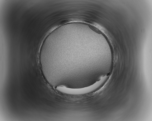 X0000087641145200705311322