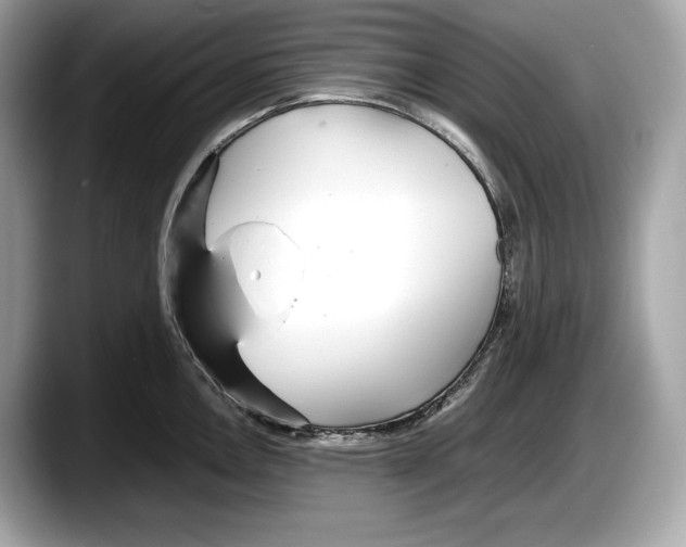 X0000087641146200705311322