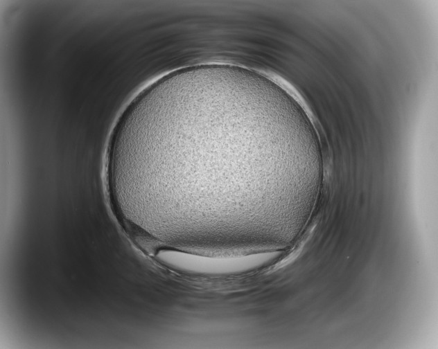 X0000087641149200705311322