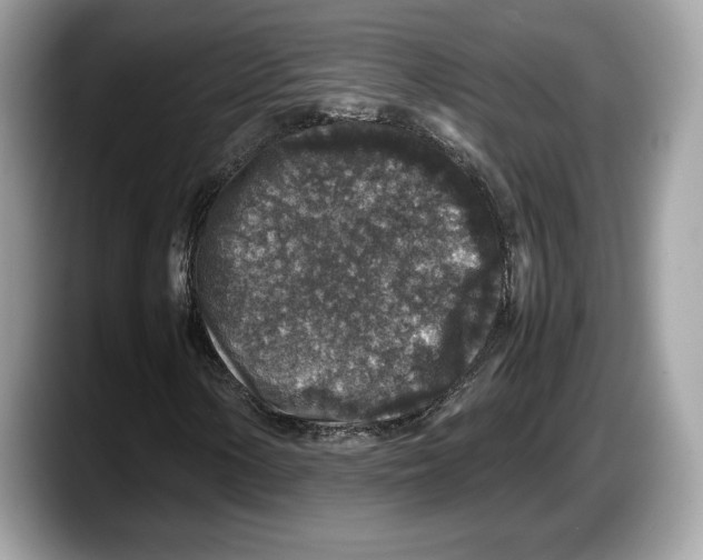 X0000087641154200705311321