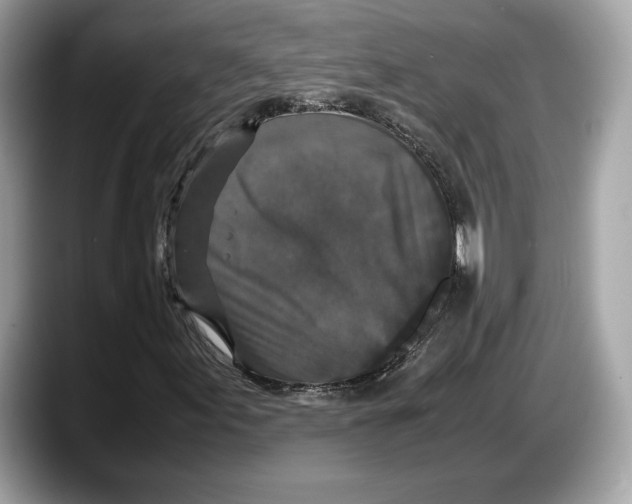 X0000087641155200705311321