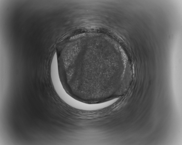 X0000087641156200705311321