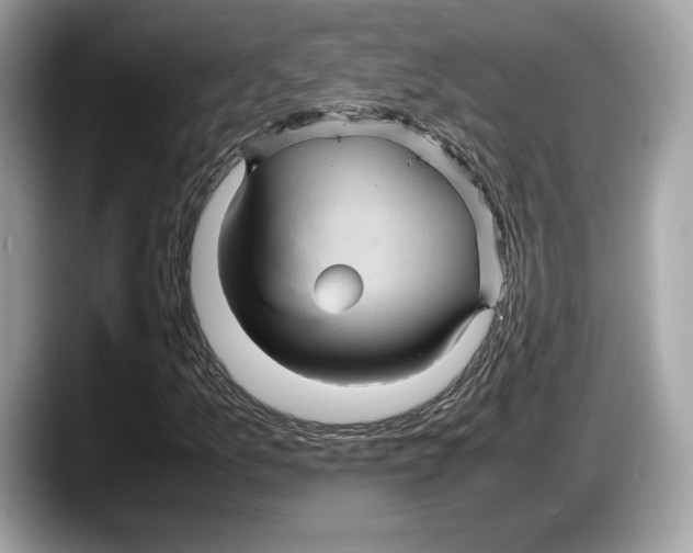 X0000087641157200705311321