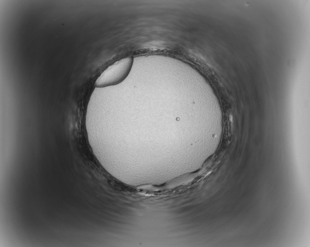 X0000087641158200705311321