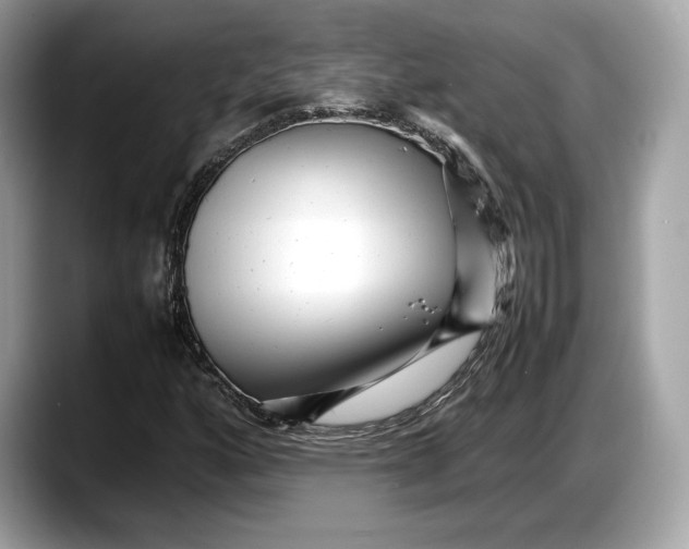 X0000087641160200705311321