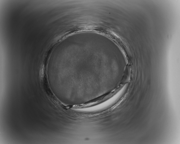 X0000087641161200705311321