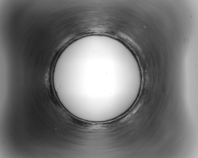 X0000087641162200705311321