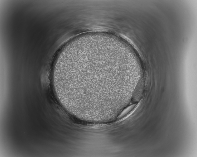 X0000087641163200705311321