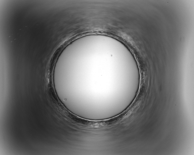 X0000087641165200705311321