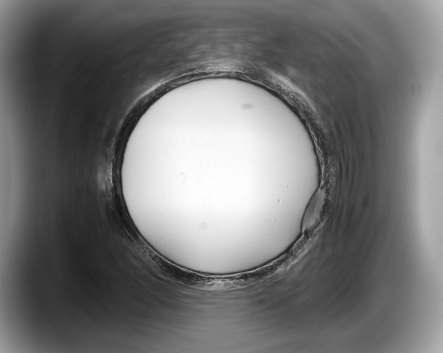 X0000087641166200705311321