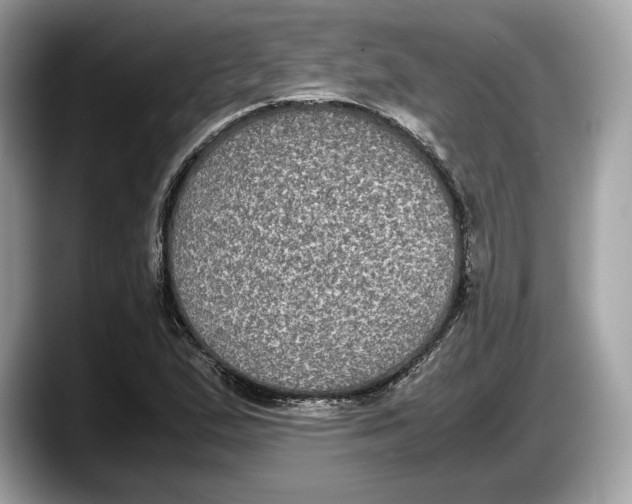 X0000087641167200705311321