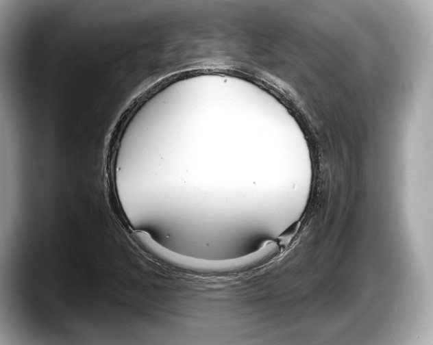 X0000087641168200705311321