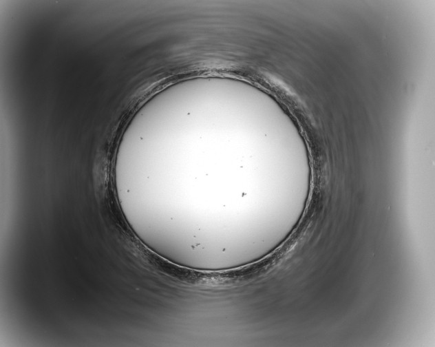 X0000087641169200705311321