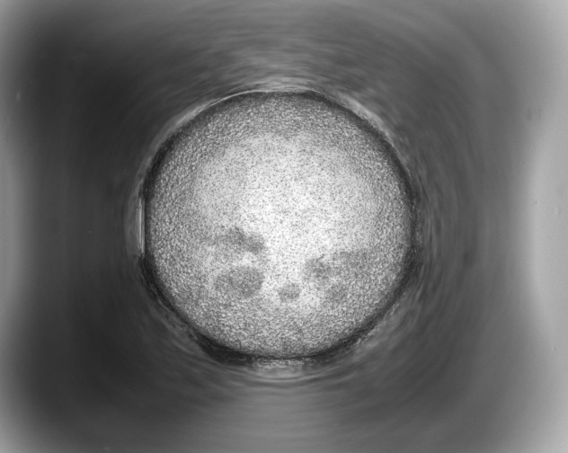 X0000087641171200705311321