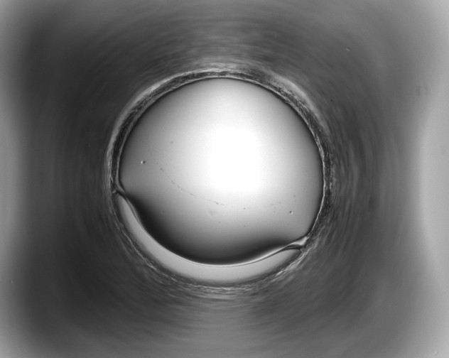 X0000087641172200705311321