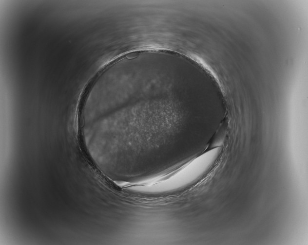 X0000087641173200705311321