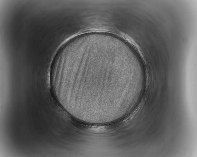 X0000087641174200705311321