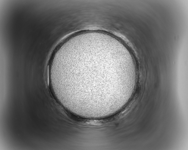 X0000087641175200705311321